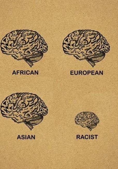 인종별 뇌크기.jpg