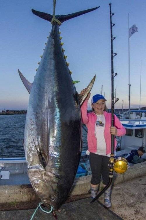 280kg 참다랑어 잡은 12살 소녀.jpg