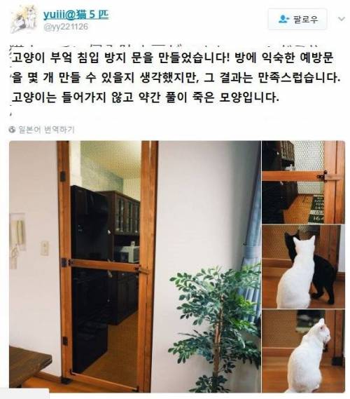 고양이 주방 침입 방지문.jpg