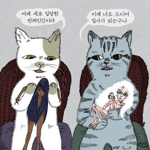 [스압] 고양이가 애완 인간 키우는 만화.jpg