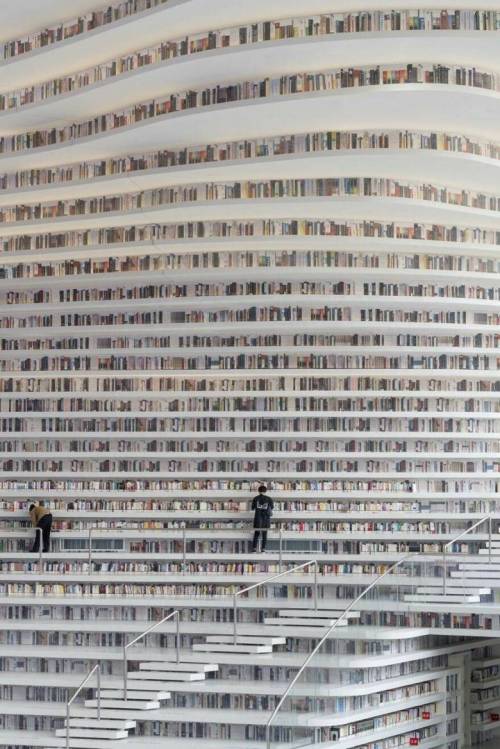 중국 톈진 빈하이 시립도서관.jpg