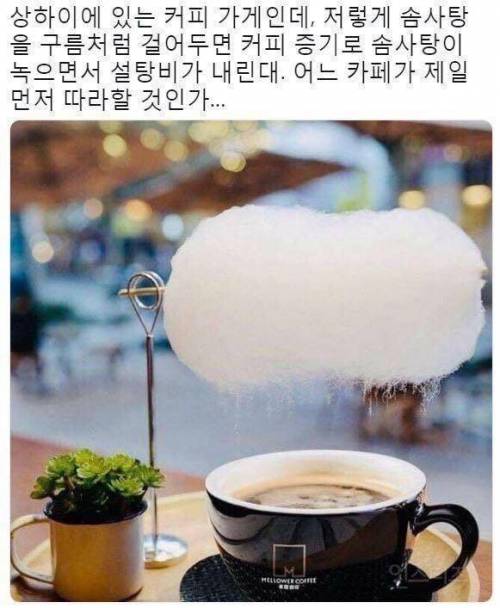 한국에서 곧 카피 할 커피.jpg