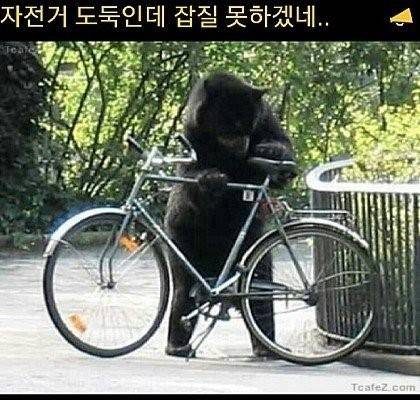 자전거 도둑을 용서한 이유.jpg