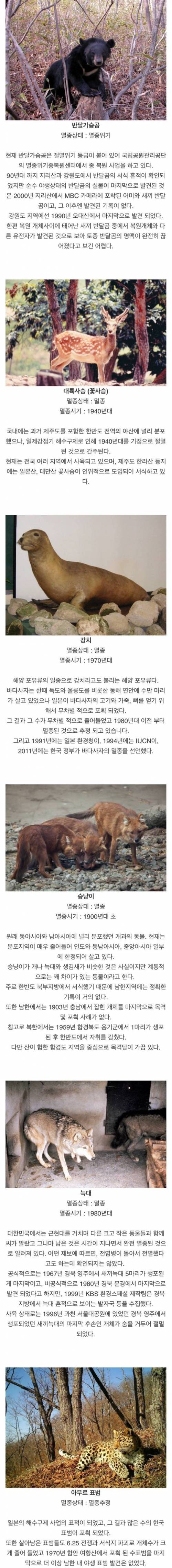 [스압] 한국에서 멸종된 동물들.jpg