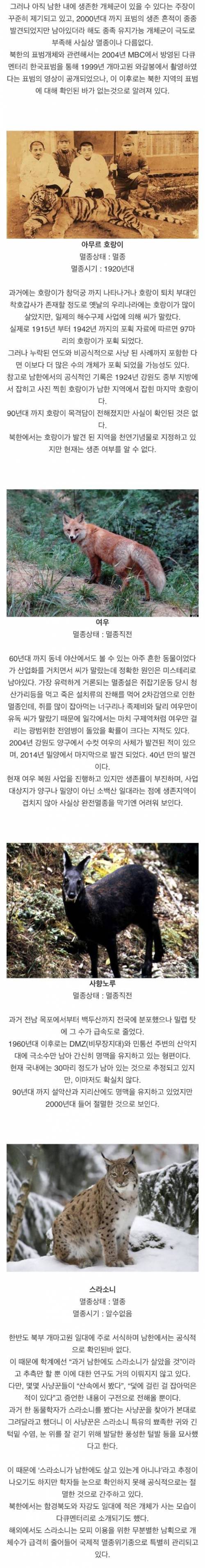 [스압] 한국에서 멸종된 동물들.jpg