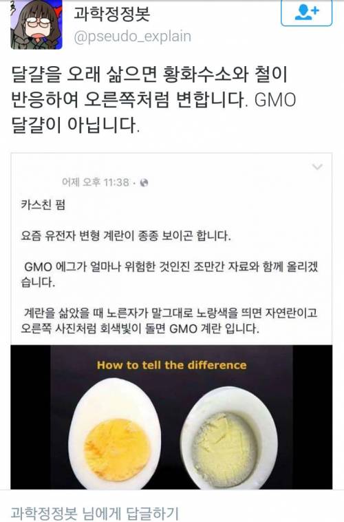 GMO 달걀 괴담.jpg