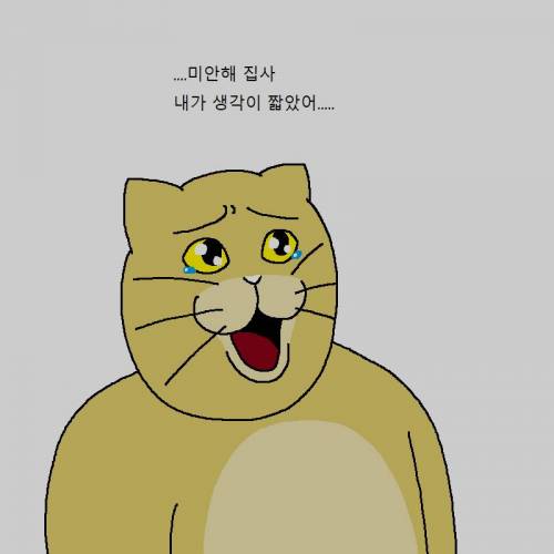 [스압] 고양이랑 같이 다이어트하는 만화.jpg