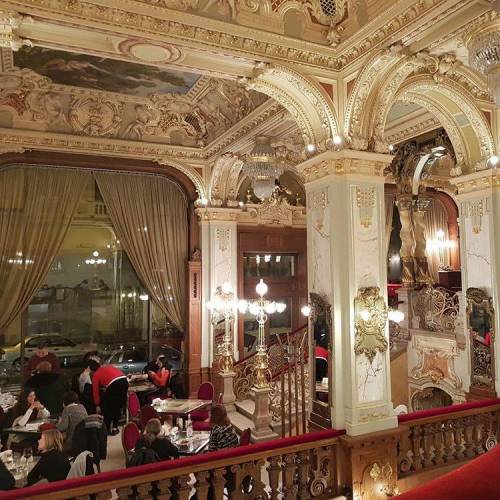 [스압] 인종차별 엄청 심하다는 헝가리 유명 카페