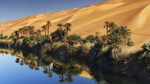 사하라 사막에 있는 오아시스.JPG