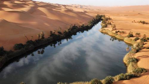 사하라 사막에 있는 오아시스.JPG