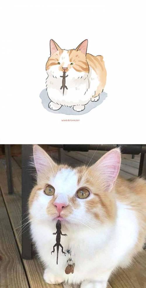 [스압] 웃긴 고양이 사진으로 그림그리기.jpg