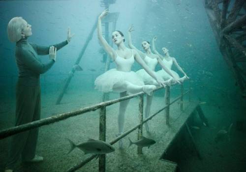 [스압] 물속에서 관람하는 수중 사진 전시회.jpg