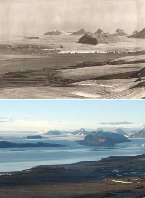 북극의 100년전과 현재.jpg