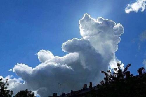 사람들이 관찰한 가장 특이한 구름 모양