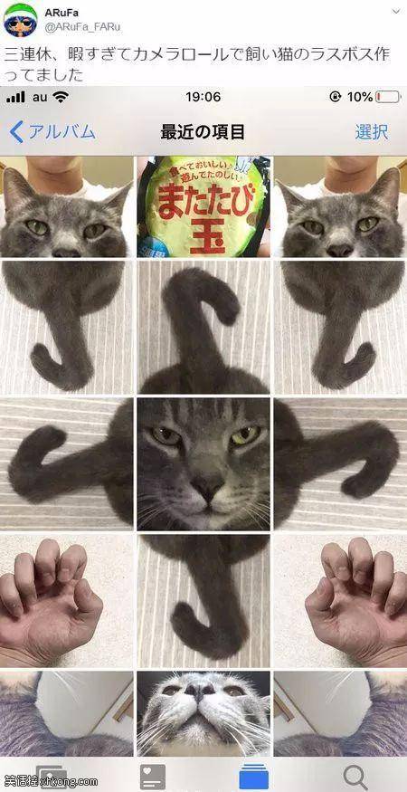 고양이 보스.jpg