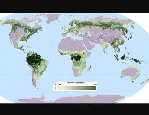 지구 나무 밀도 분포.jpg