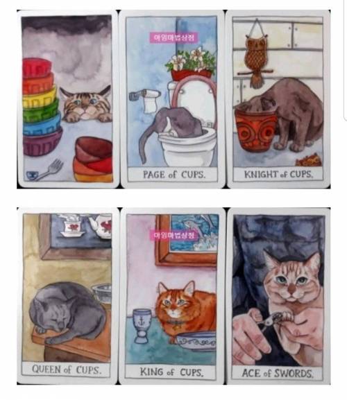 고잘알이 만든 고양이 타로 카드.jpg