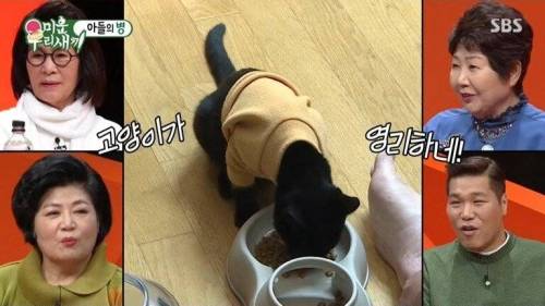[스압] 박수홍네 집에 사는 고양이의 정체.jpg