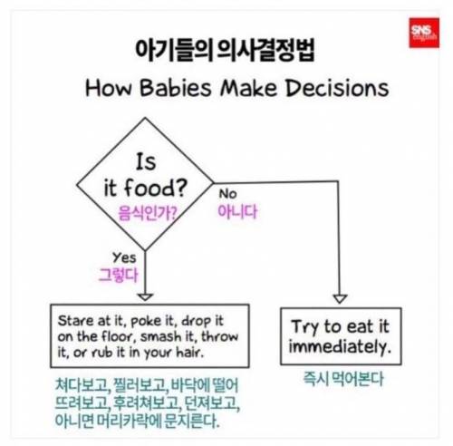 아기들의 의사결정법.jpg