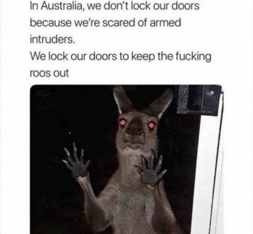 호주에서 잘 때 무조건 모든 문을 닫고 자야 되는 이유.jpg