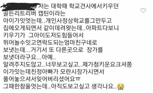 [스압] 반려동물 유기율 높은 이유를 아라보자 (feat.강형욱)