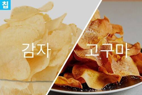 감자 vs 고구마 여러분의 선택은?