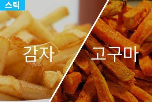 감자 vs 고구마 여러분의 선택은?