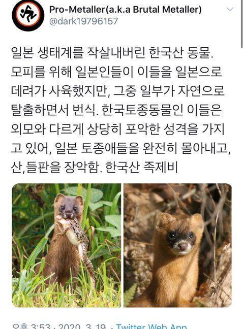 일본 생태계 작살내버린 한국산 동물.jpg