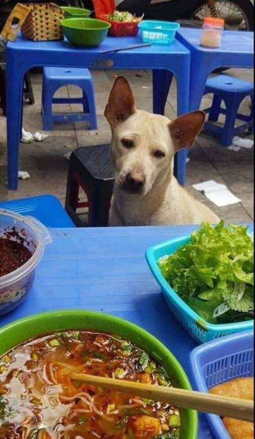 [스압] 베트남 길거리 음식 먹으면...jpg