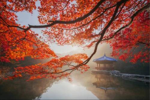 외국인이 찍은 한국의 자연 풍경.jpg