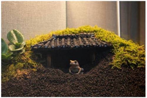 [스압] 두꺼비 집을 만들어보자.jpg