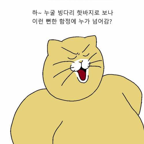 [스압] 고양이가 목욕하기 싫어하는 만화.jpg