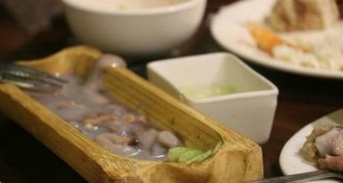 필리핀에 있는 맛있는걸로 유명한 벌레, '타밀록'