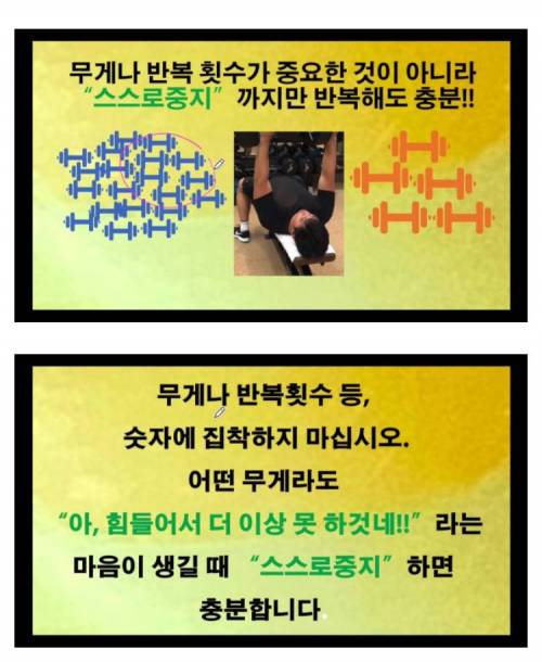 [스압] 서울대 교수 피셜 근육 늘리는 방법