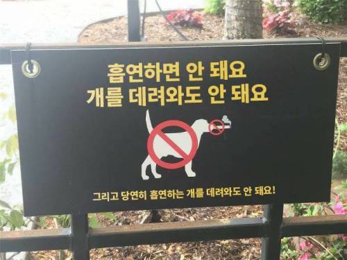 한국의 흔한 산책길 주의사항
