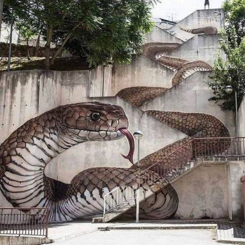 포르투칼의 뱀 벽화.jpg