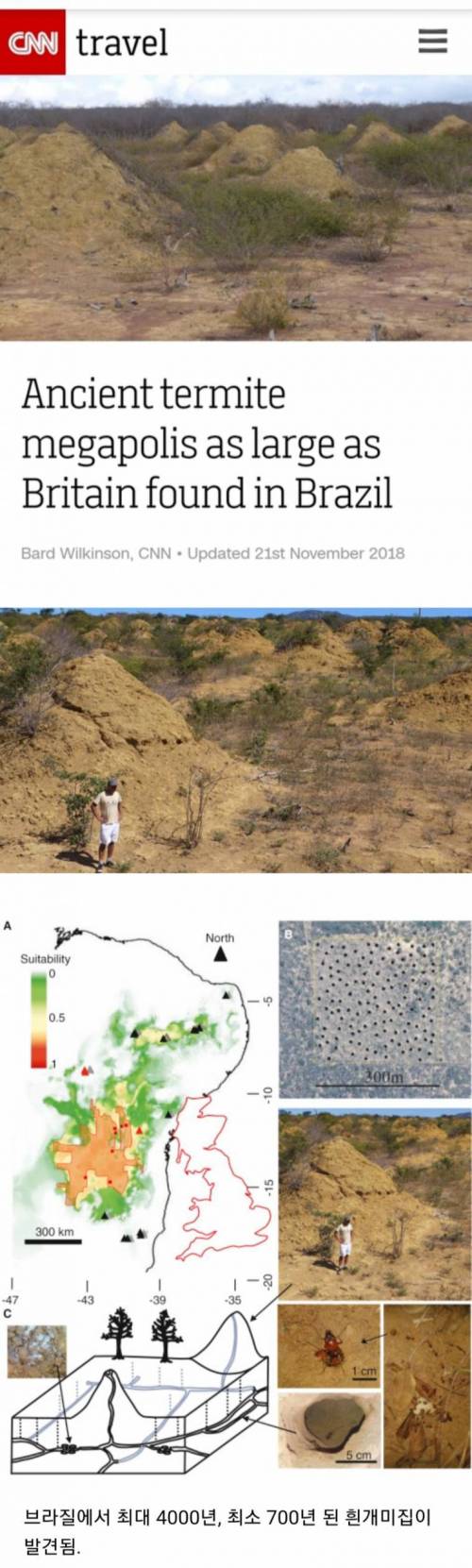 브라질에서 발견된 영국만한 크기의 개미굴.jpg