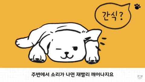 [스압] 강아지 수면 자세 이유.jpg