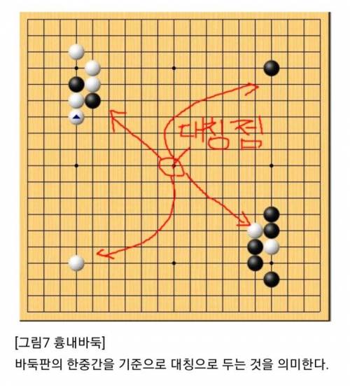 [스압] 이세돌에 이어 AI를 이긴 한국 바둑기사.jpg