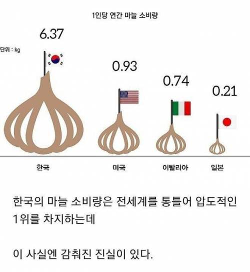 충격적인 한국의 마늘 소비