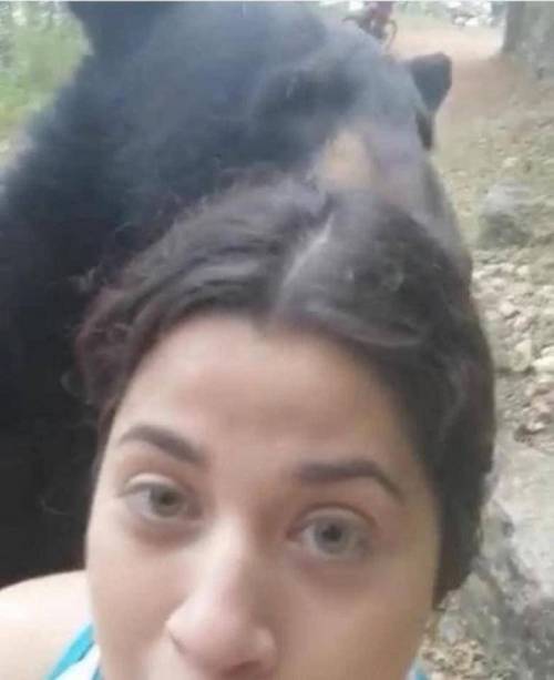 야생곰을 피하는 대신 커플샷 찍은 여인.ㄷㄷㄷㄷ