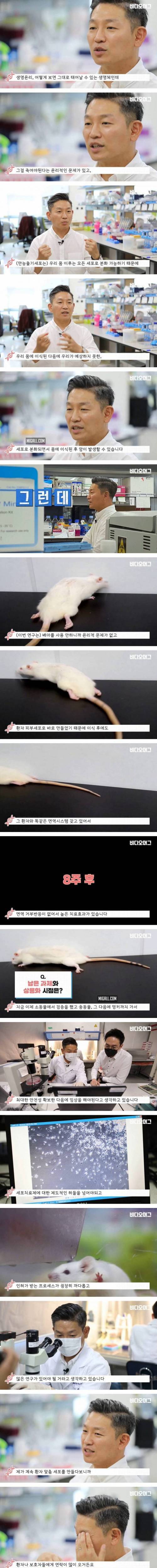 [스압] 하반신 마비 생쥐를 다시 걷게 만든 김정범 교수 연구팀.jpg