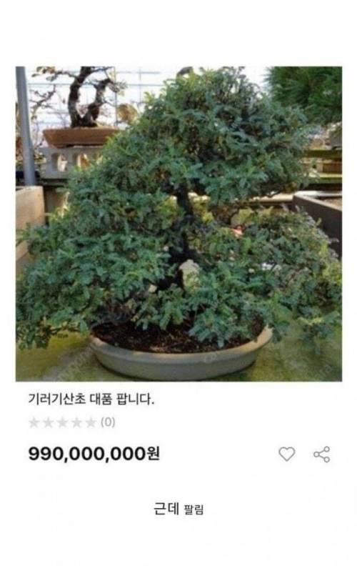 중고나라에 올라온 10억짜리 식물.jpg