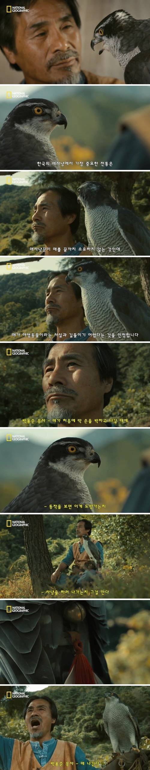 [스압] 신뢰의 한국 전통 매사냥