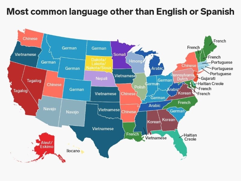 영어 스페인어 다음으로 많이 사용하는 언어 지도.jpg