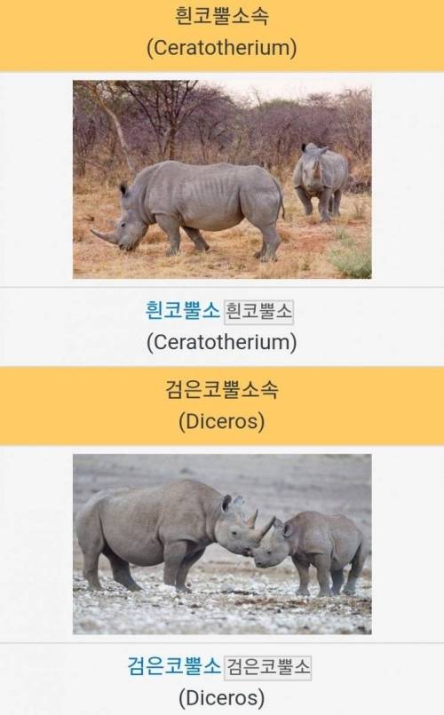 학자들의 실수로 이름이 이상하게 붙은 동물들.jpg