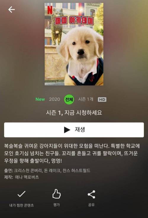 [스압] 넷플릭스의 강아지 드라마 '퍼피 아카데미'