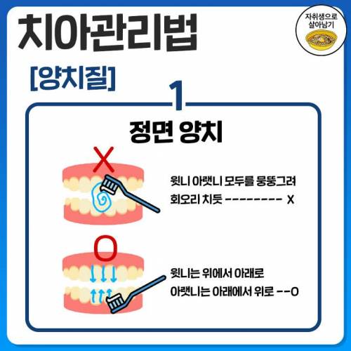 튼튼탄탄 치아관리법.jpg