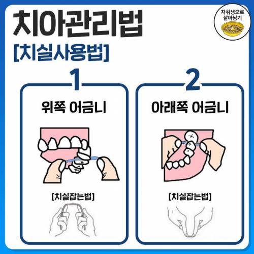 튼튼탄탄 치아관리법.jpg