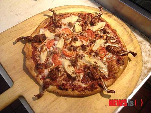 [혐주의]미국에서 판다는 비단뱀 피자